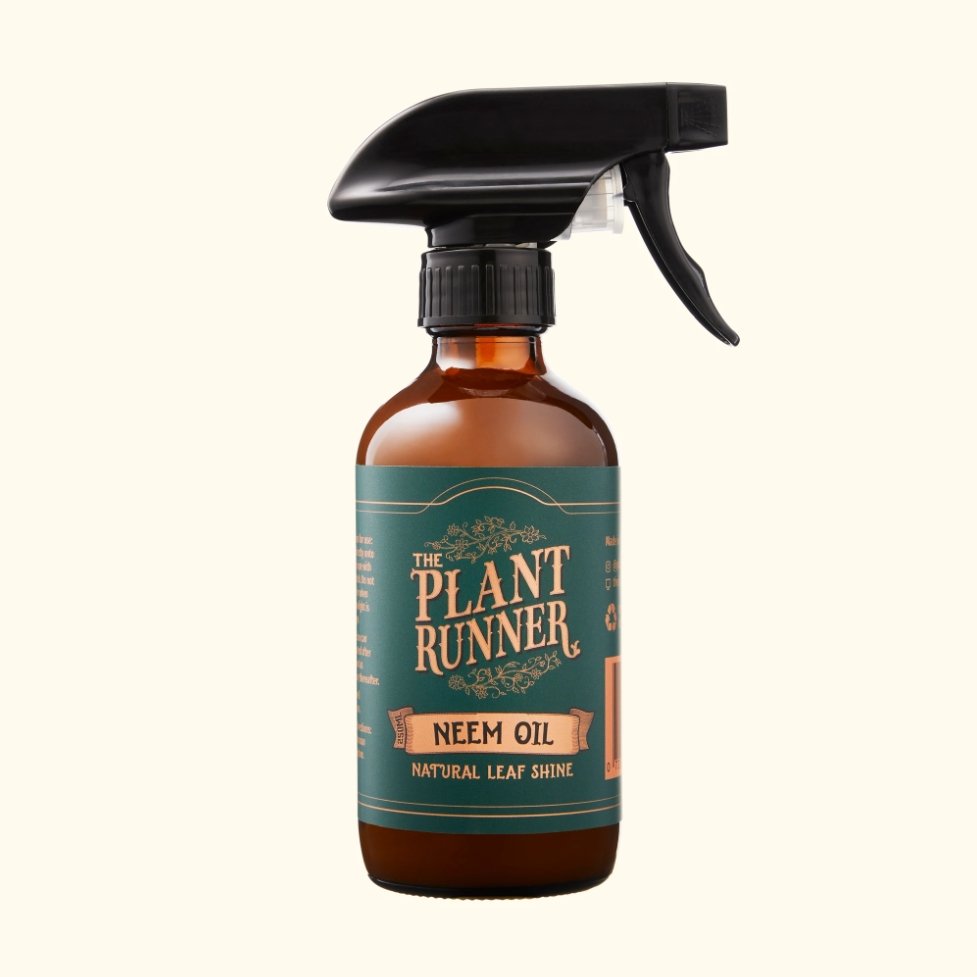 Plant Runner - Neem Oil Leaf Shine - The Flower Crate