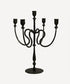 Raine 5 Cup Iron Candelabra - The Flower Crate