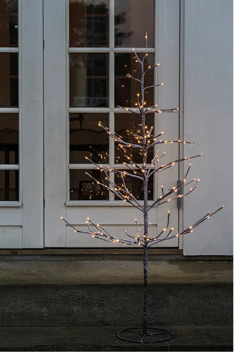 Sirius Illuminated Alex Christmas Tree - The Flower Crate