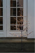 Sirius Illuminated Alex Christmas Tree - The Flower Crate