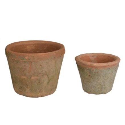 Terracotta Moss Planter Classic - The Flower Crate