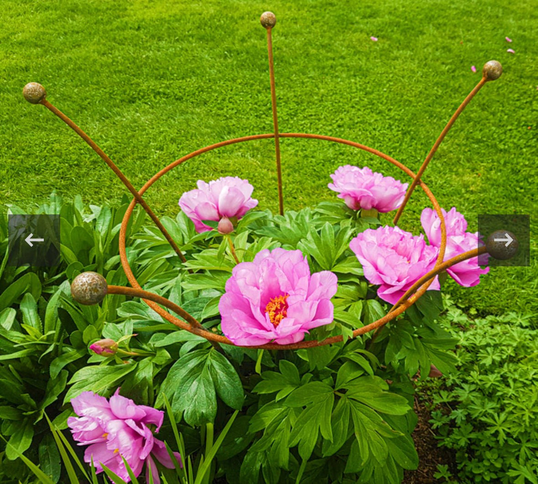 Terrascape Heritage Garden Support - Peony - The Flower Crate
