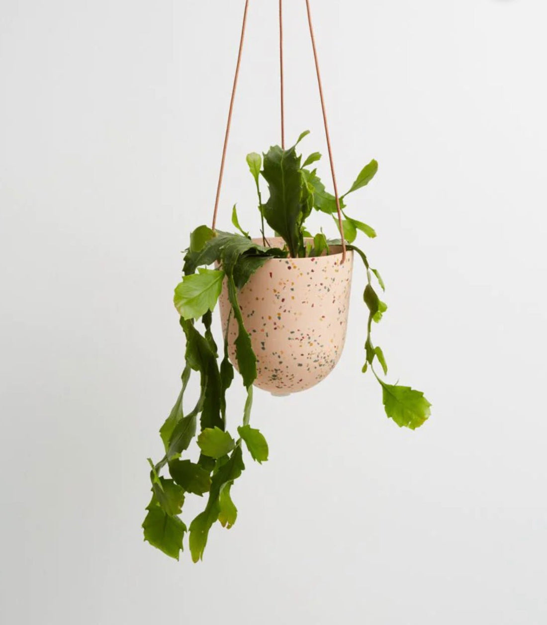 Terrazzo Hanging Planter - The Flower Crate