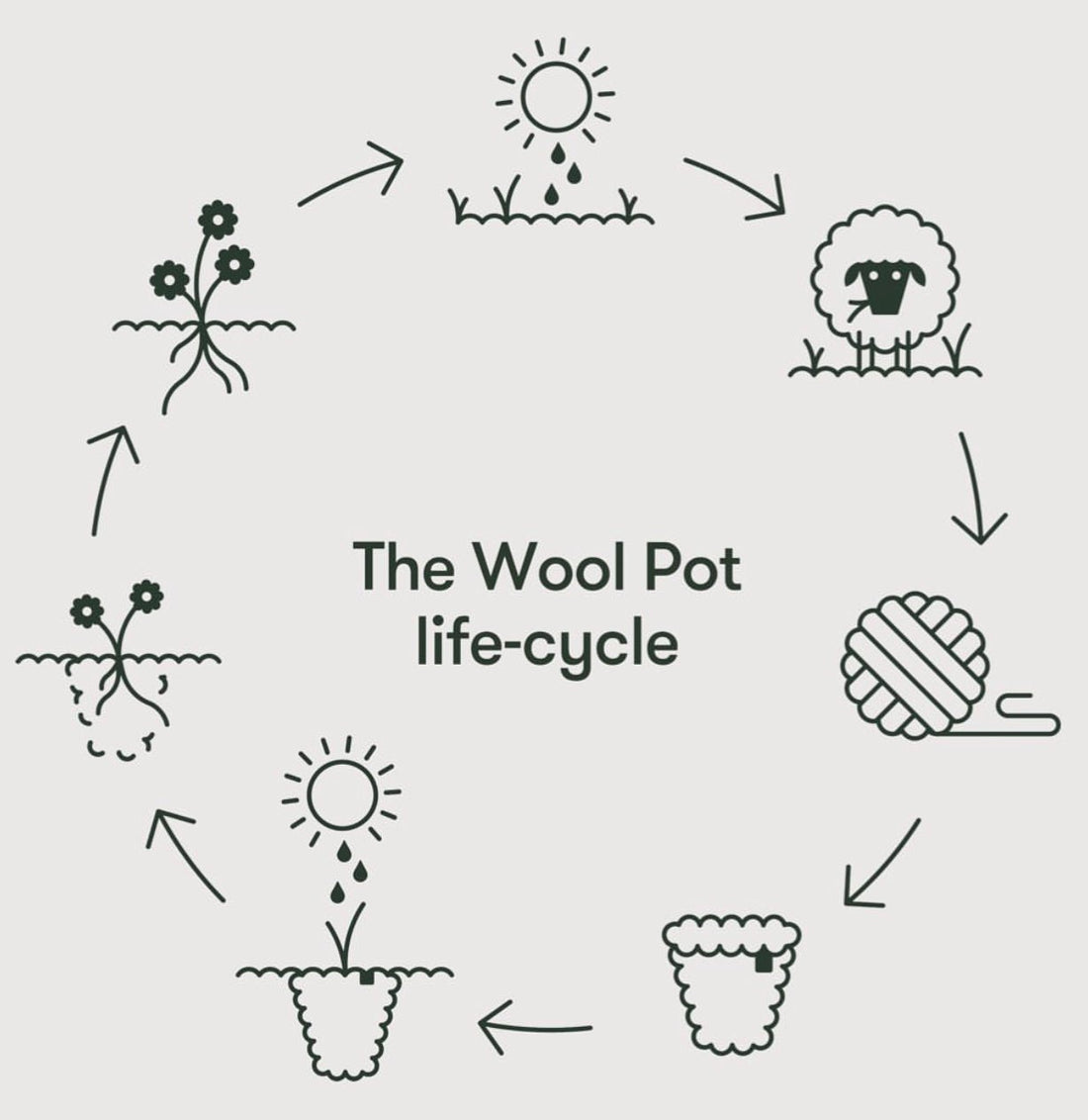 The Wool Pot - Medium Pack of 3 - The Flower Crate