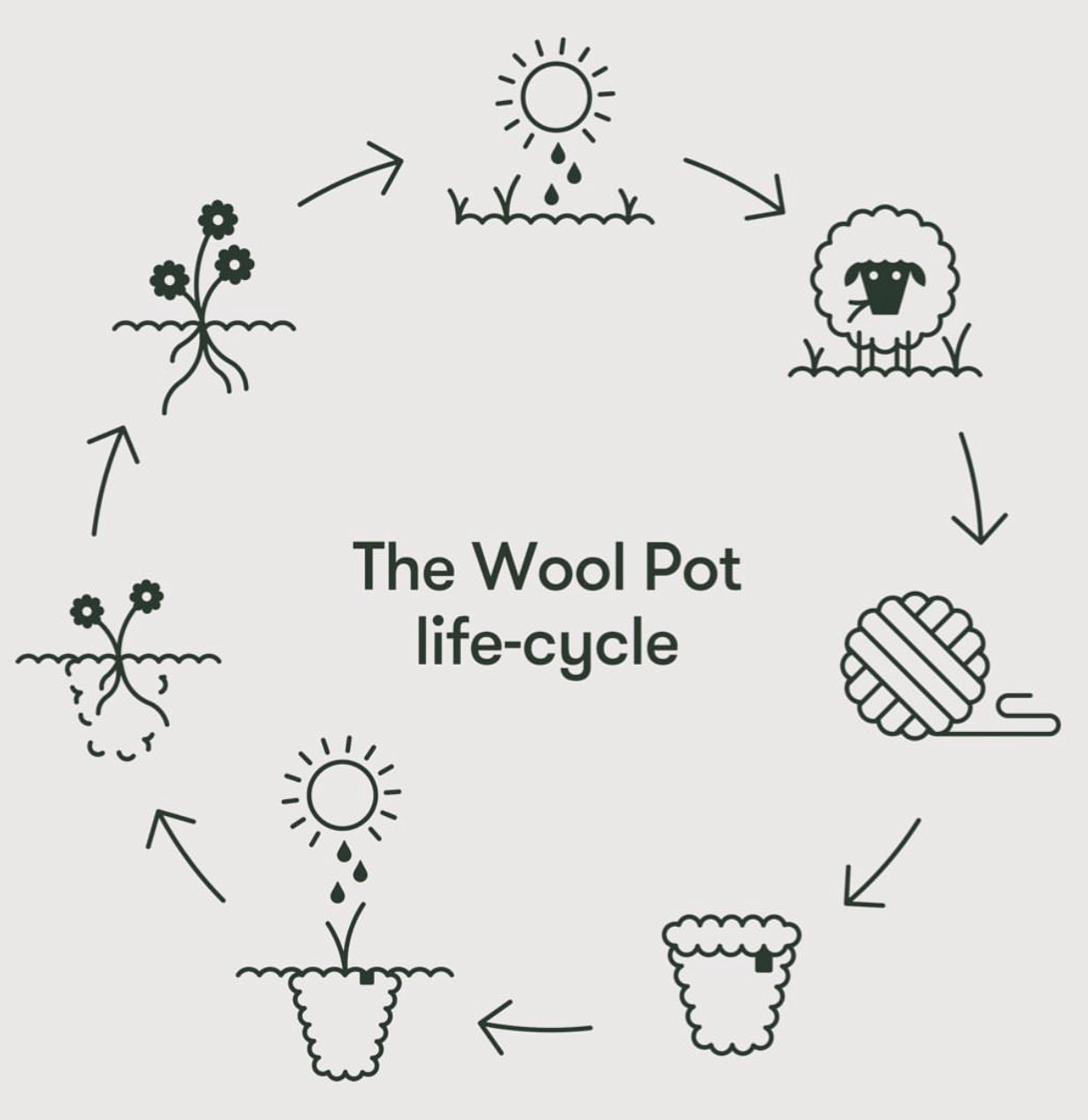 The Wool Pot - Small 3 Pack - The Flower Crate