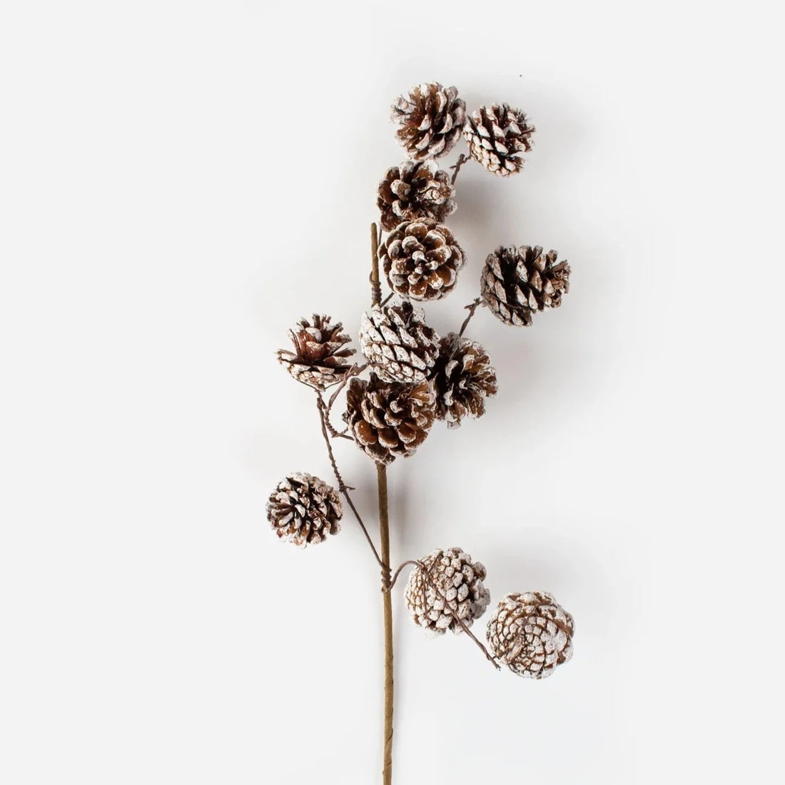 Whitewash Pinecone Branch - The Flower Crate